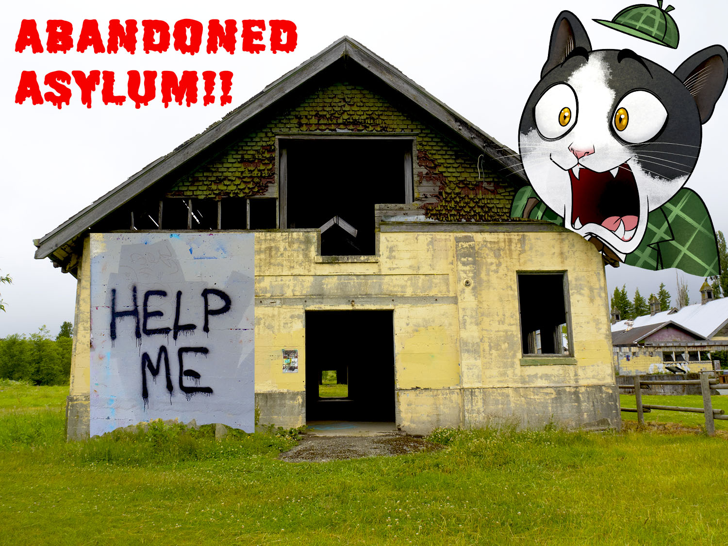 abandoned insane asylum