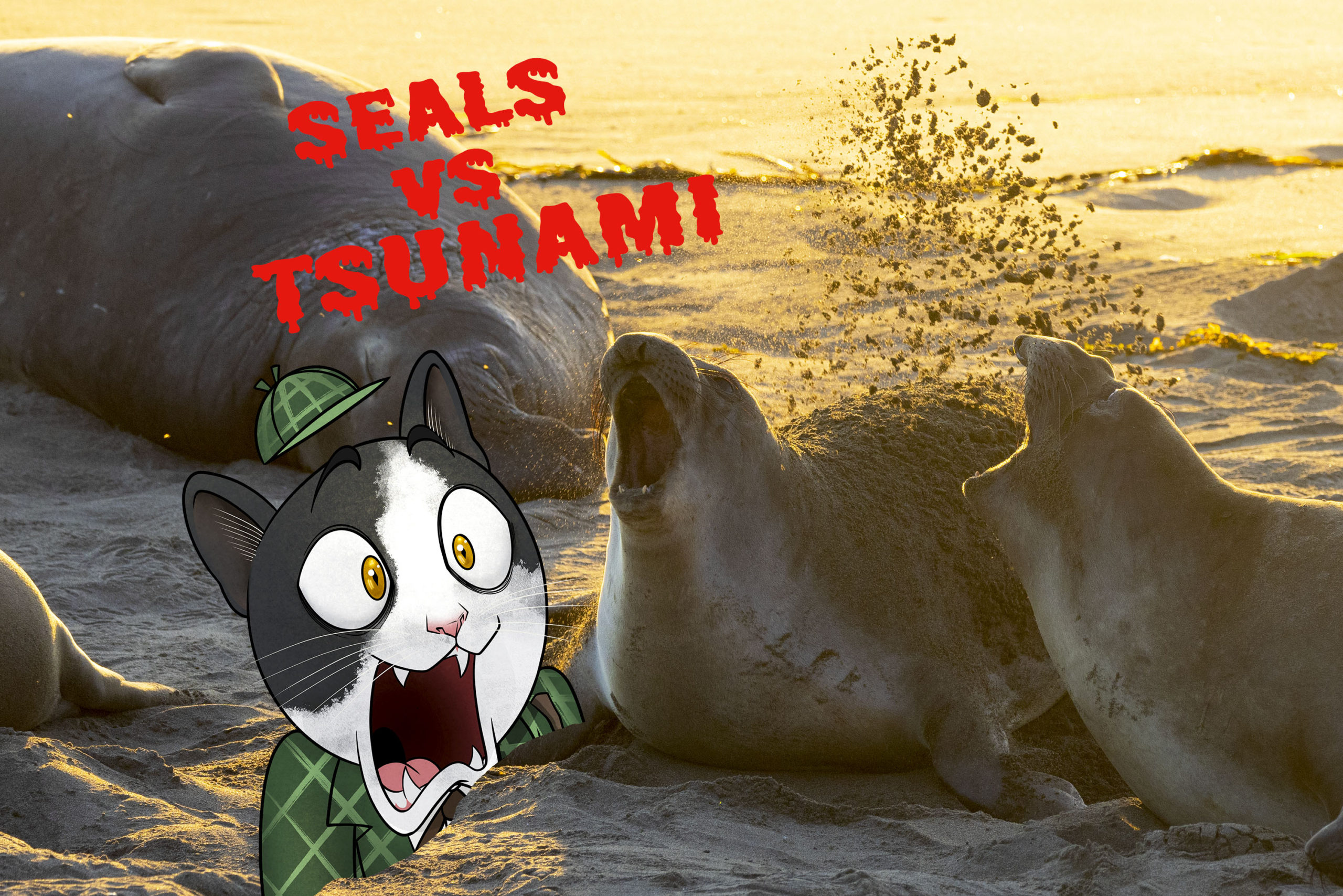 seals vs tsunami